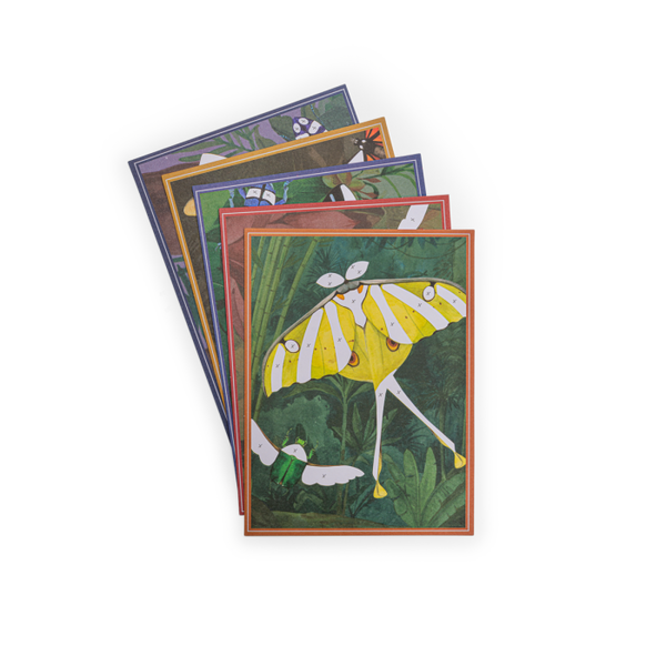 Cartes fantastiques Tout autour du monde