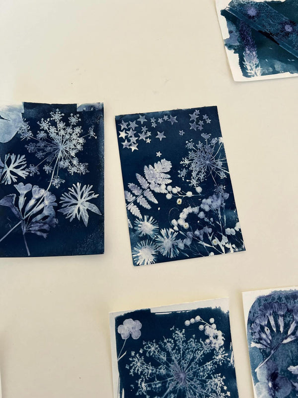 Atelier découverte cyanotype