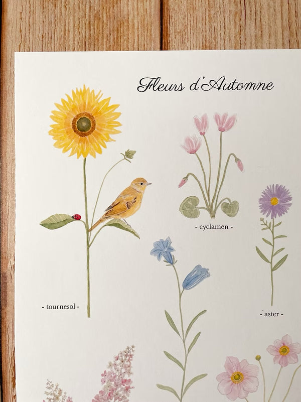 Affiche À3  "Fleurs d'automne"