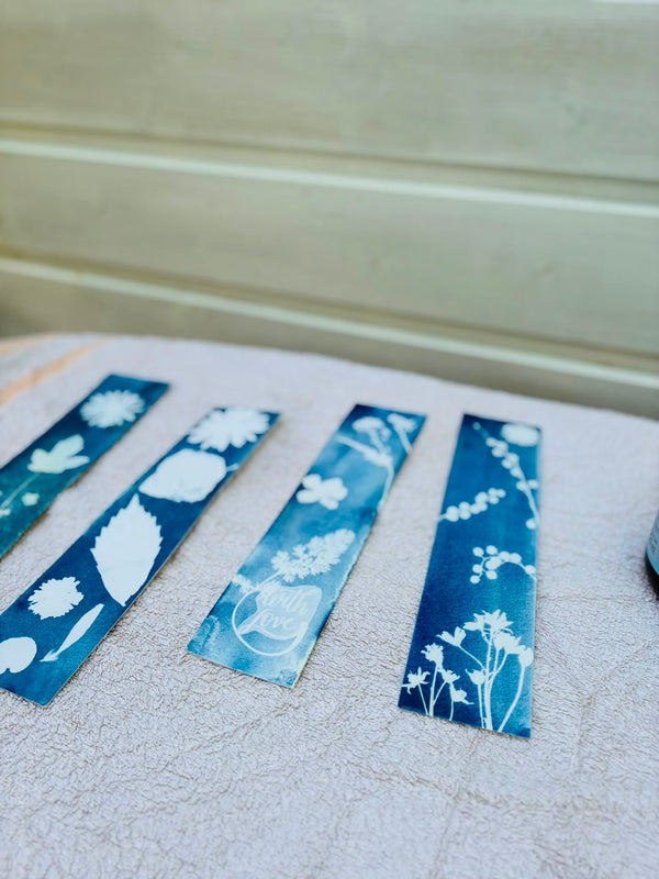 Atelier découverte cyanotype