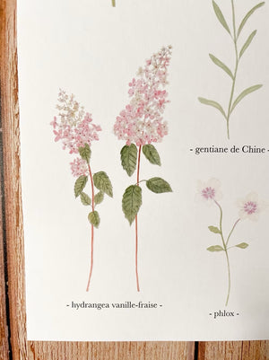 Affiche À3  "Fleurs d'automne"