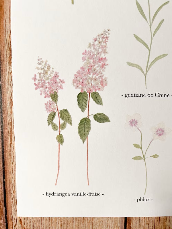 Affiche À3  "Fleurs d'automne"