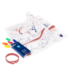 Coloriage éducatif-Set en silicone SAVANE AFRICAINE 5 feutres inclus