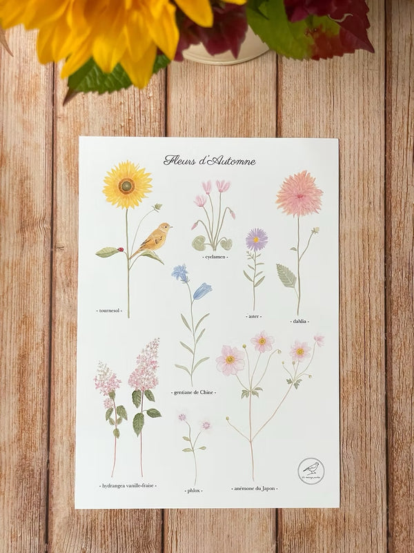 Affiche À3  "Fleurs d'automne"