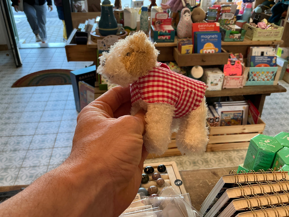 Mini Eliot avec laisse et manteau