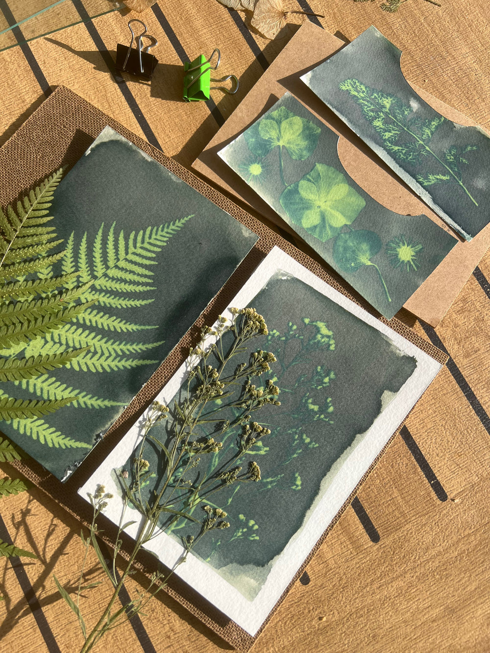 Atelier découverte cyanotype