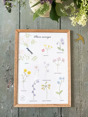 Affiche A4 aquarelle Fleurs sauvages