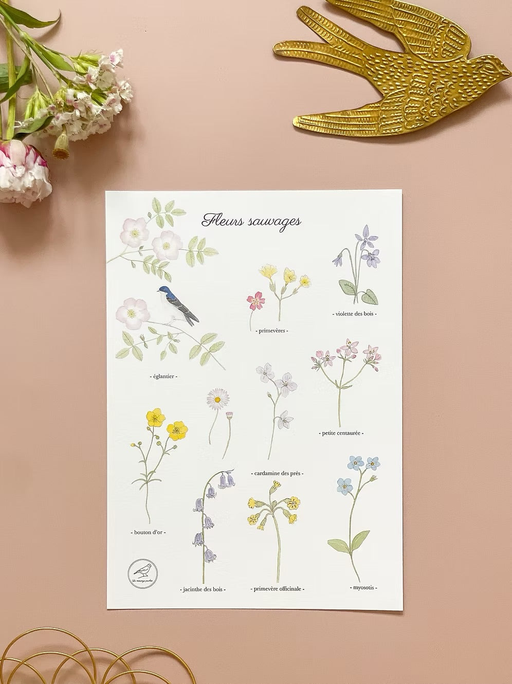 Affiche A4 aquarelle Fleurs sauvages
