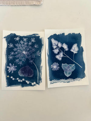 Atelier découverte cyanotype