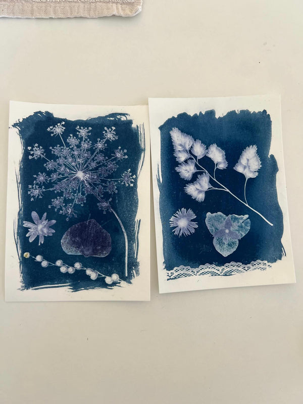 Atelier découverte cyanotype