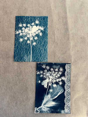 Atelier découverte cyanotype