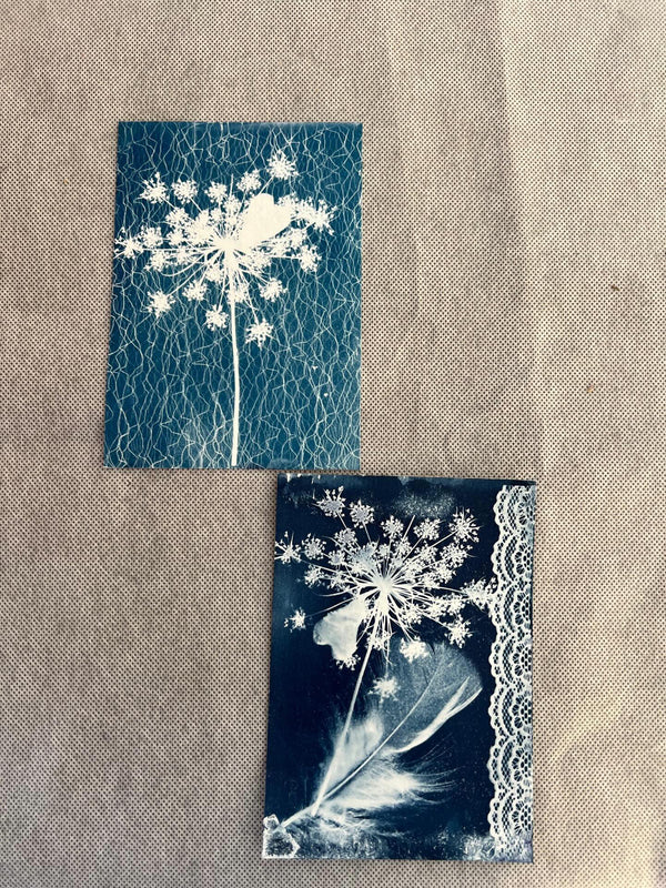 Atelier découverte cyanotype