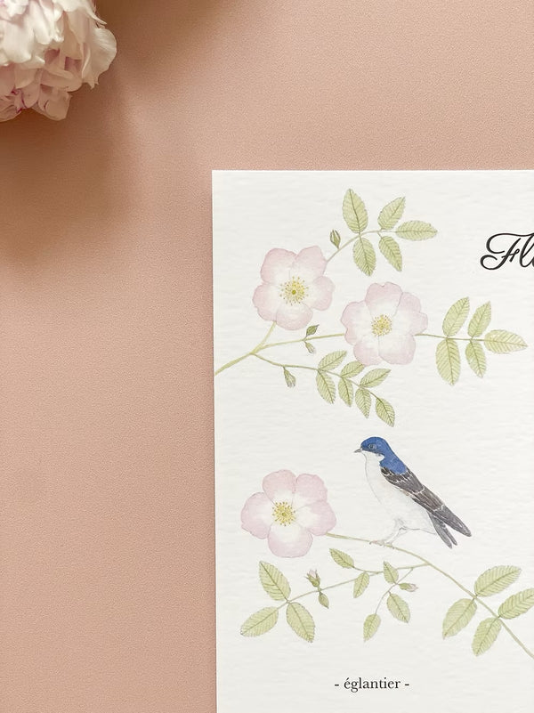 Affiche A4 aquarelle Fleurs sauvages