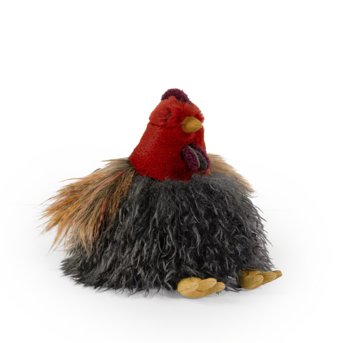 Poule Tout autour du monde