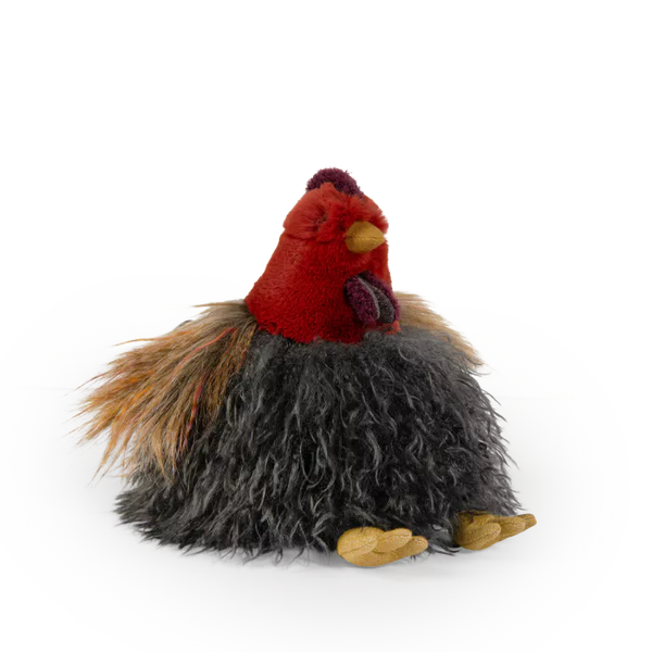 Poule Tout autour du monde