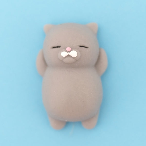 Mini squishy chat gris