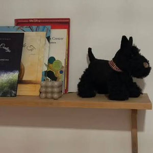 Peluche chien Walter