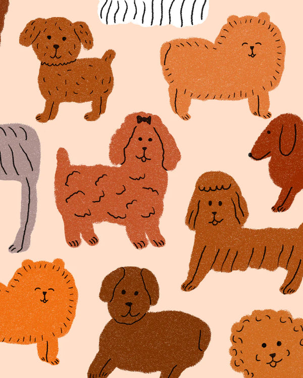 Éventail chiots CUIKUI