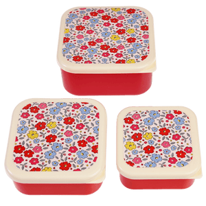 Boîtes à goûter /lunch fleurs