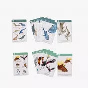 Jeu de 7 familles des espèces