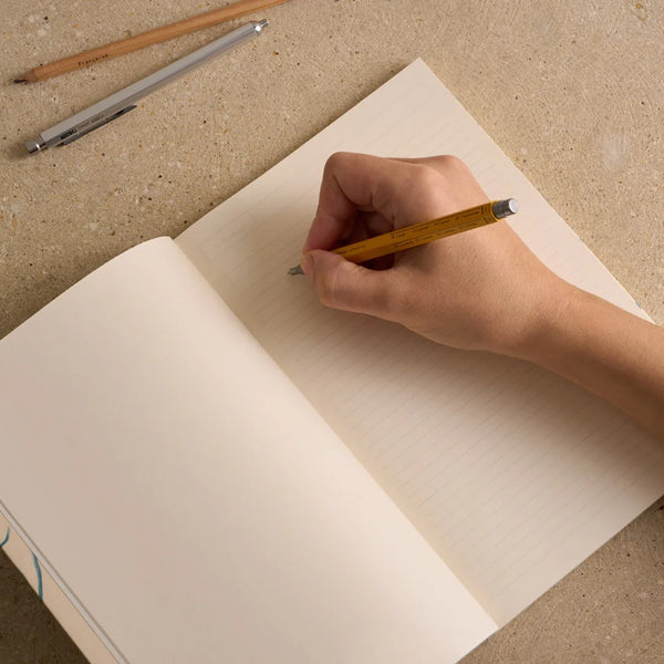 Journal L’oiseau