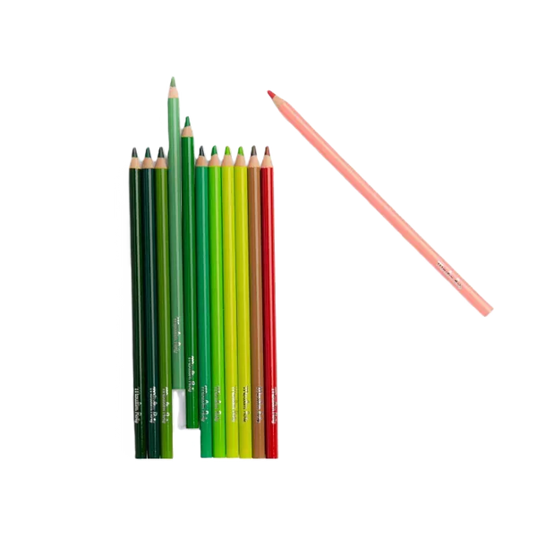 Crayons de couleur Nature
