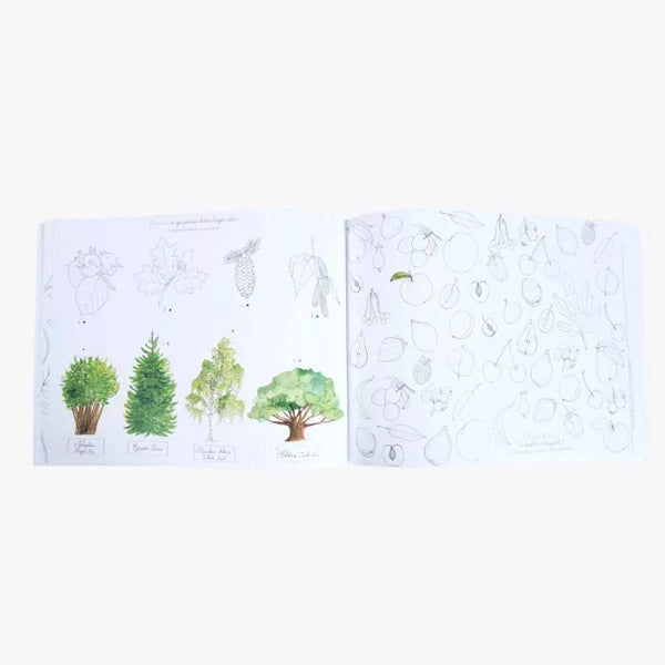 Cahier d’activités dans mon jardin