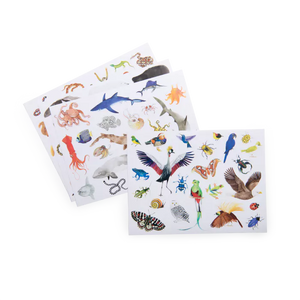 Pochette stickers les animaux du monde