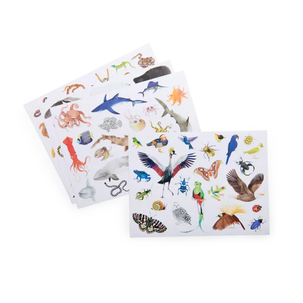 Pochette stickers les animaux du monde