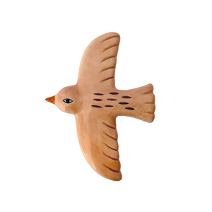 Hirondelle murale