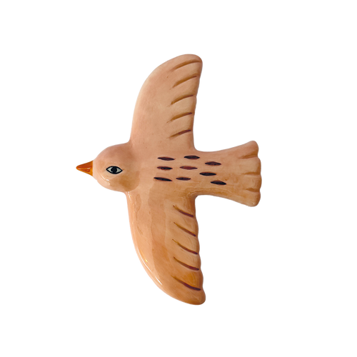 Hirondelle murale