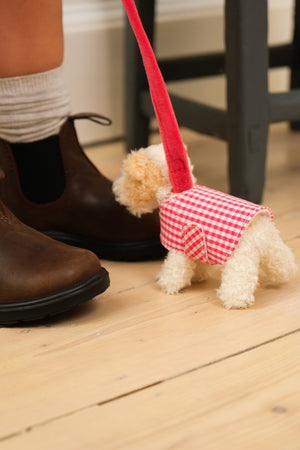 Mini Eliot avec laisse et manteau et son panier