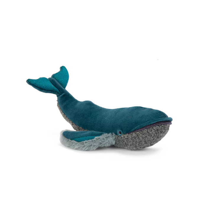 Petite baleine à bosse
