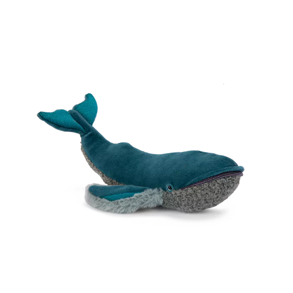 Petite baleine à bosse