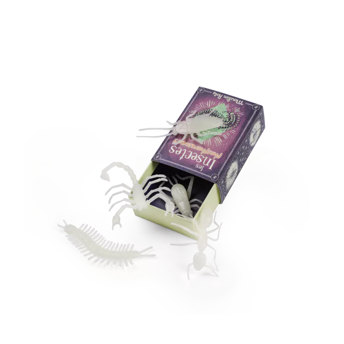 5 insectes phosphorescents