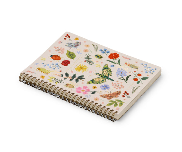 Carnet à spirale Curio